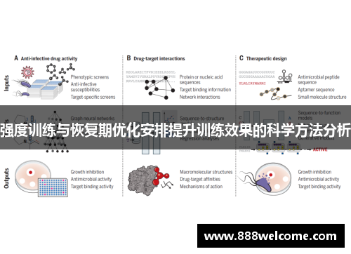 强度训练与恢复期优化安排提升训练效果的科学方法分析